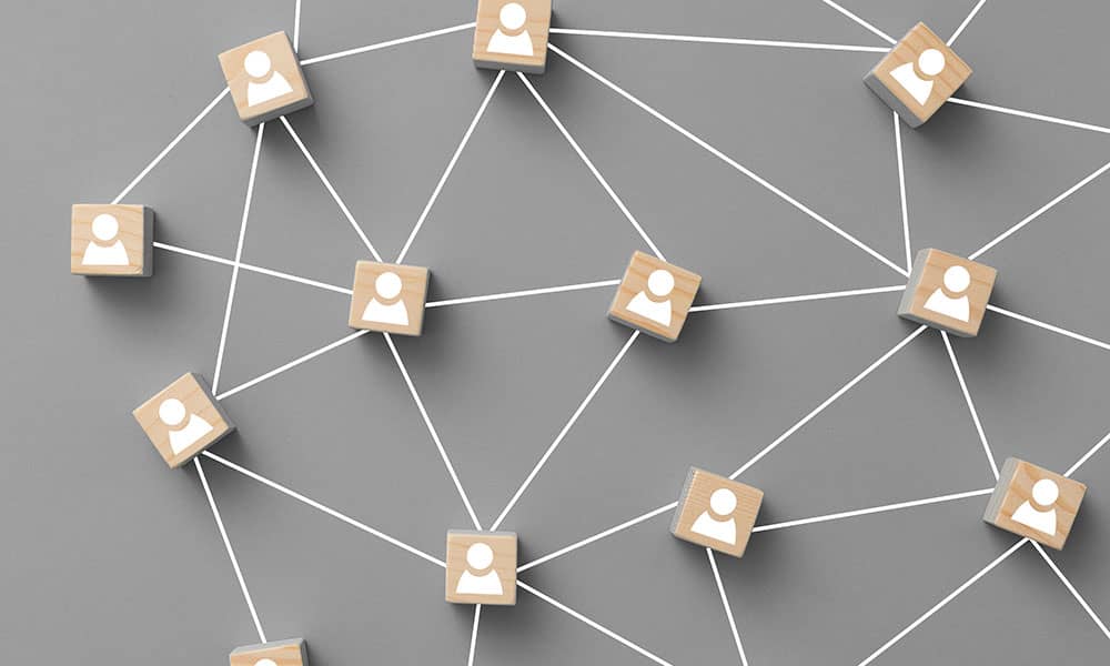 Network of partners